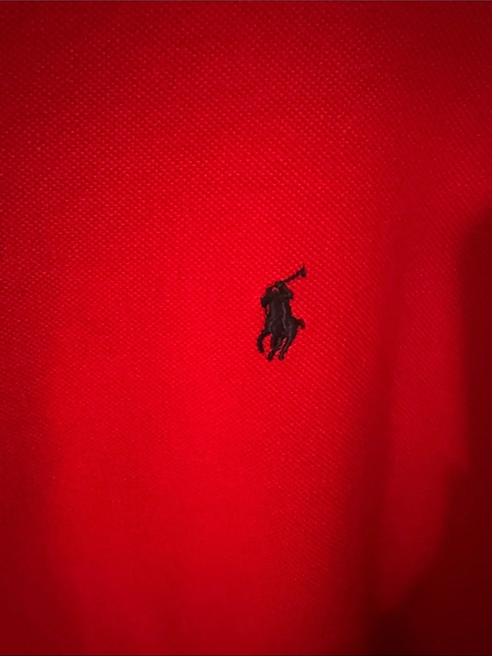 Polo by Ralph Lauren Red Crewneck Sweatshirt with Navy Pony